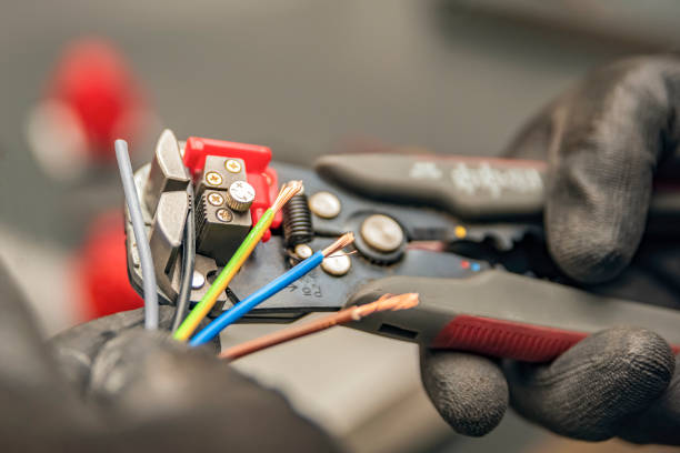 Best Electrical Repair Services  in Ruhenstroth, NV